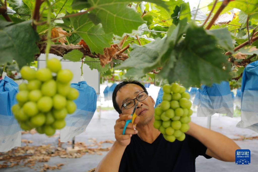 永利游戏误乐